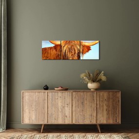 Obraz -Szkocka krowa (z zegarem) (90x30 cm)