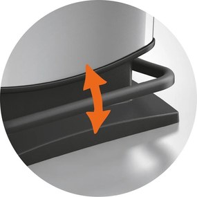 Plastikowy kosz na śmieci z pedałem w kolorze srebra 40 l Paso – Rotho