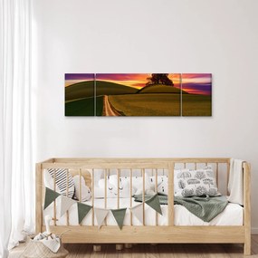 Obraz pola z zachodem słońca (170x50 cm)