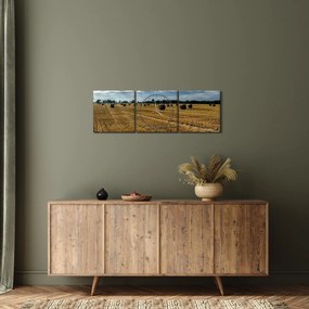 Obraz zebranego pola zboża (z zegarem) (90x30 cm)