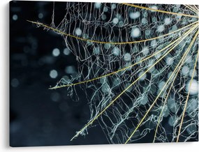 Obraz - Kwiat z pajęczyną (70x50 cm)