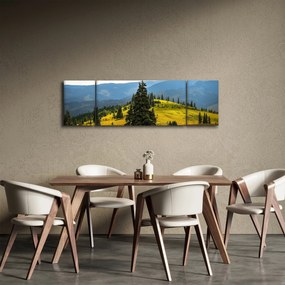 Obraz - Górska łąka (170x50 cm)