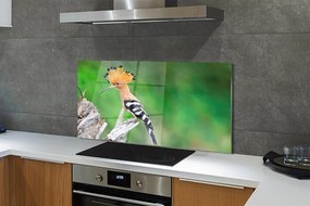 Panel szklany do Kuchni Papuga w Sercu Dżungli