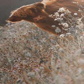 Obraz - Szkocka krowa w kwiatach (170x50 cm)
