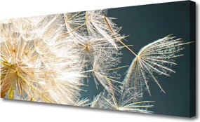 Obraz canvas Lekkość Mniszka Lekarskiego