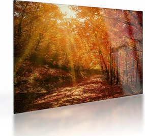 Obraz na szkle jesiennego lasu (70x50 cm)