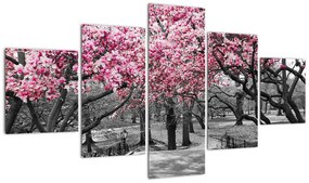 Obraz drzew magnolii (125x70 cm)