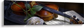 Obraz - Róże i skrzypce (170x50 cm)