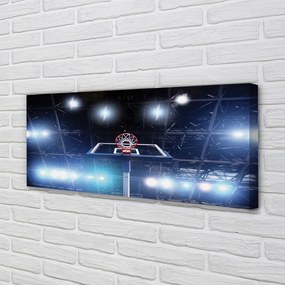 Obraz drukowany na płótnie Kosz W Blasku Reflektorów