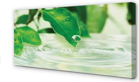 Zdjęcie na płótnie Krople Deszczu na Liściach