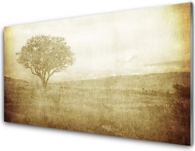 Panel Kuchenny Korona Rozłożystego Drzewa