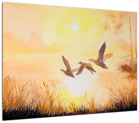 Obraz - Żurawie o zachodzie słońca (70x50 cm)