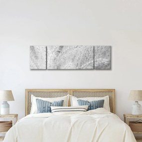 Obraz - Trawa pampasowa N⁰1 (170x50 cm)