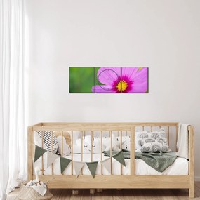 Obraz - polny kwiat (z zegarem) (90x30 cm)