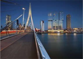 Obraz na szkle - Zmierzch w Rotterdamie, Holandia (70x50 cm)