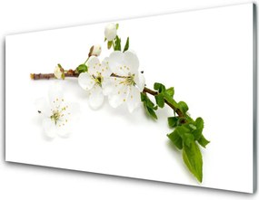 Szkło do Kuchni na Ścianę Kwitnąca Gałązka Natury