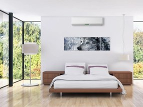 Obraz - Wilk z kreskówki (170x50 cm)