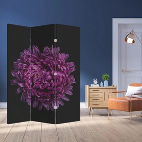 Parawan - Fioletowy kwiat (126x170 cm)