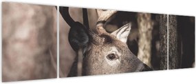 Obraz - Jeleń w lesie (170x50 cm)