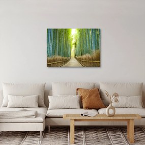 Obraz - Las bambusowy (70x50 cm)