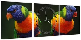 Obraz papug (z zegarem) (90x30 cm)