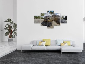 Obraz żółwia (125x70 cm)