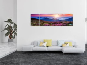 Obraz - Krajobraz kwitnących gór (170x50 cm)