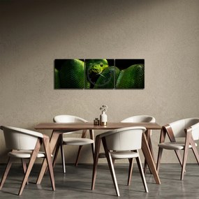 Obraz - Zielony wąż (z zegarem) (90x30 cm)