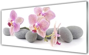 Panel Kuchenny Drzewo Na Kamiennym Wzgórzu