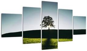 Obraz natury - drzewo (125x70 cm)