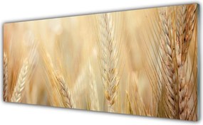 Szkło do Kuchni na Ścianę Łany Złotej Pszenicy