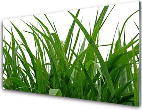 Panel nad blat kuchenny Świeżość Naturalnej Trawy