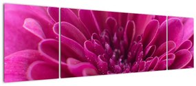 Obraz kwiatu (170x50 cm)