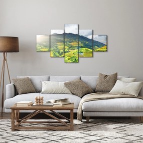 Obraz plantacji (125x70 cm)