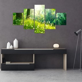 Obraz - Magiczna łąka pełna mniszków lekarskich (125x70 cm)