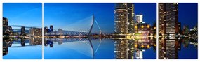 Zdjęcie - Rotterdam nocą (170x50 cm)