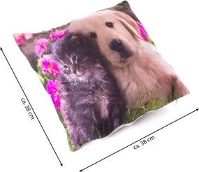 Poduszka dekoracyjna z oświetleniem LED Kot i pies - 38x38cm