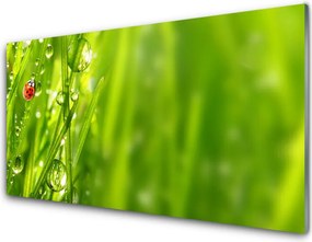 Szkło Dekoracyjne do Kuchni Biedronka na Zielonym Źdźble