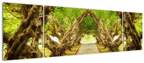 Obraz - Żywy tunel plumerii (170x50 cm)