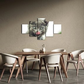 Obraz oblizującego się kotka (125x70 cm)