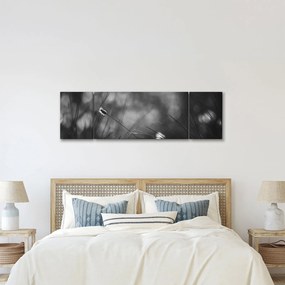 Obraz - Trawa łąkowa (170x50 cm)