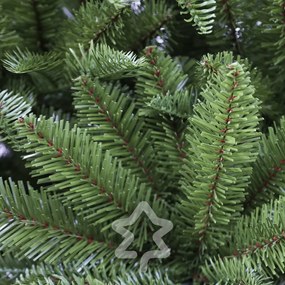 Jodła normandzka ekstra gęsta 180 cm
