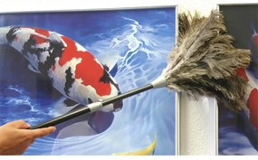Miotełka do kurzu ze strusich piór – Maximex