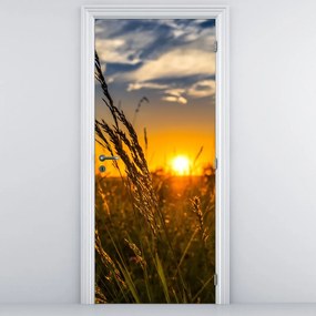 Fototapeta na drzwi - Pole o zachodzie Słońca (95x205cm)