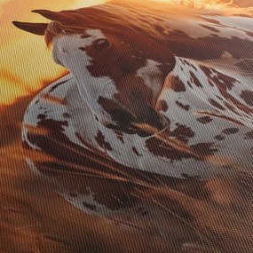 Obraz - Koń o zachodzie słońca (170x50 cm)