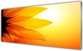 Szkło do Kuchni na Ścianę Piękno Natury: Kwiat