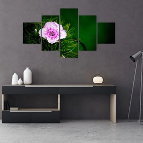 Obraz kwiatu róży (125x70 cm)