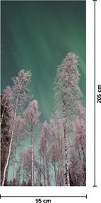 Fototapeta na drzwi - Zorza polarna nad zamarzniętymi drzewami (95x205cm)