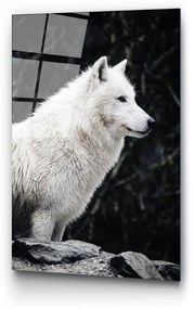 Szklany obraz 70x100 cm White Wolf – Wallity