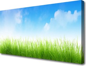 Fotoobraz na płótnie Soczysta Zielona Trawa
